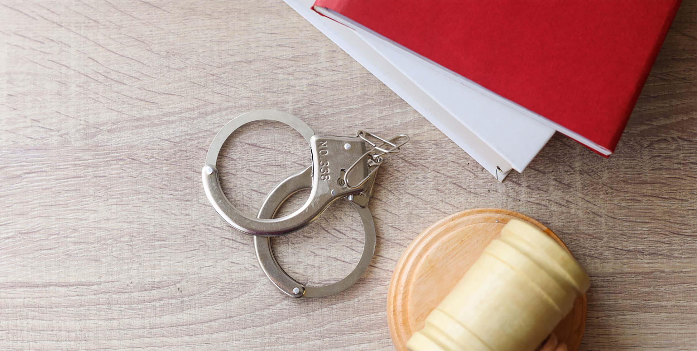 Masters Degree (MSCJ) in Criminal Justice header