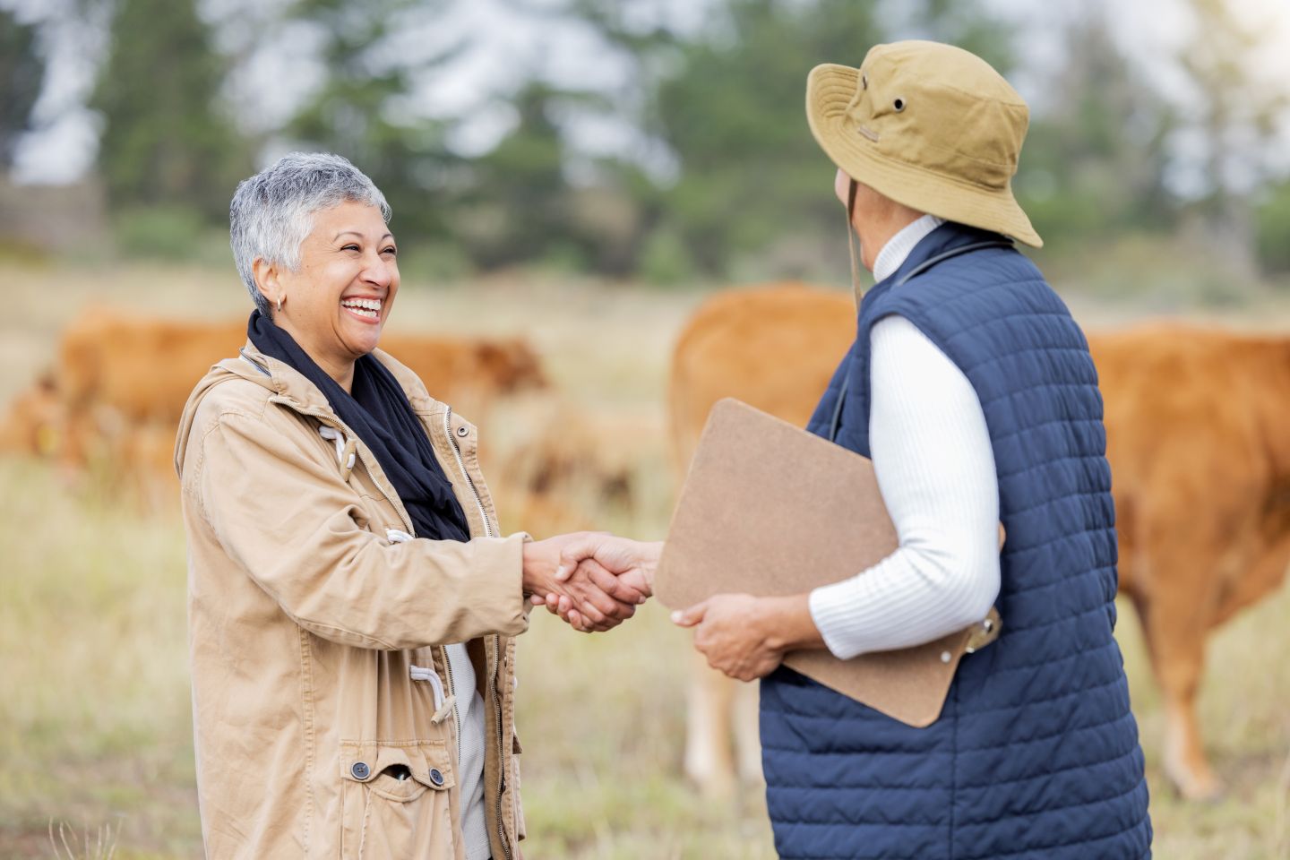 two women meeting in farm with handshake