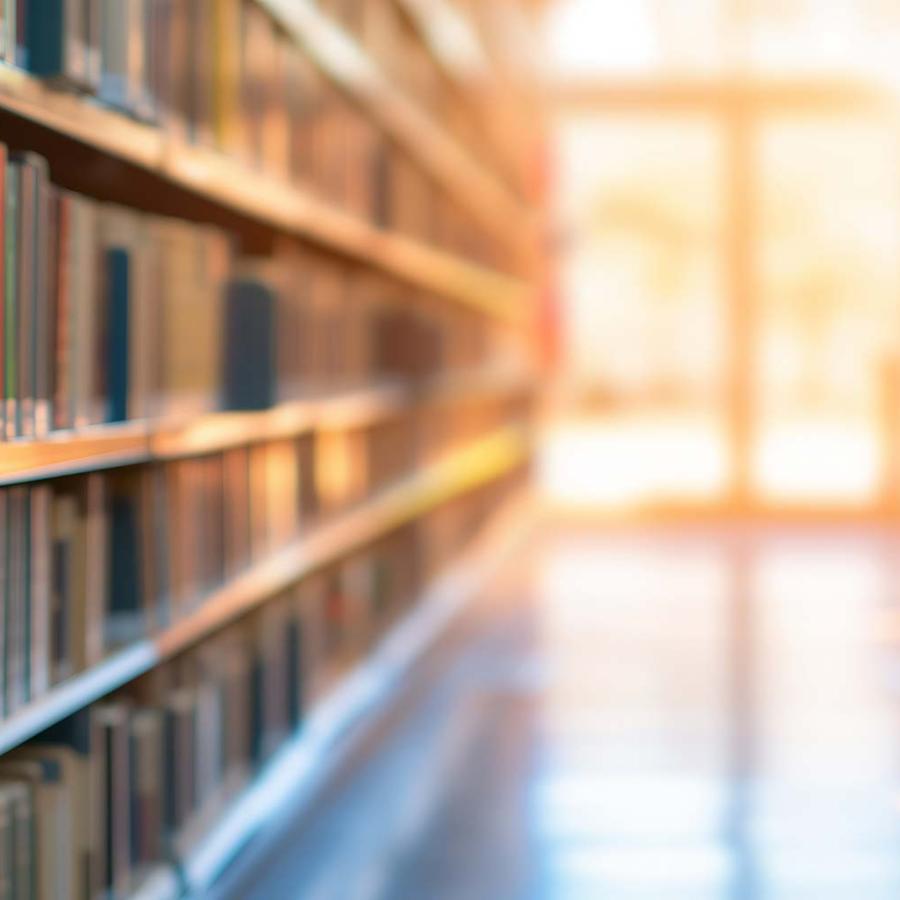 Masters Degree (MSLS) in LIBRARY & INFORMATION SCIENCE