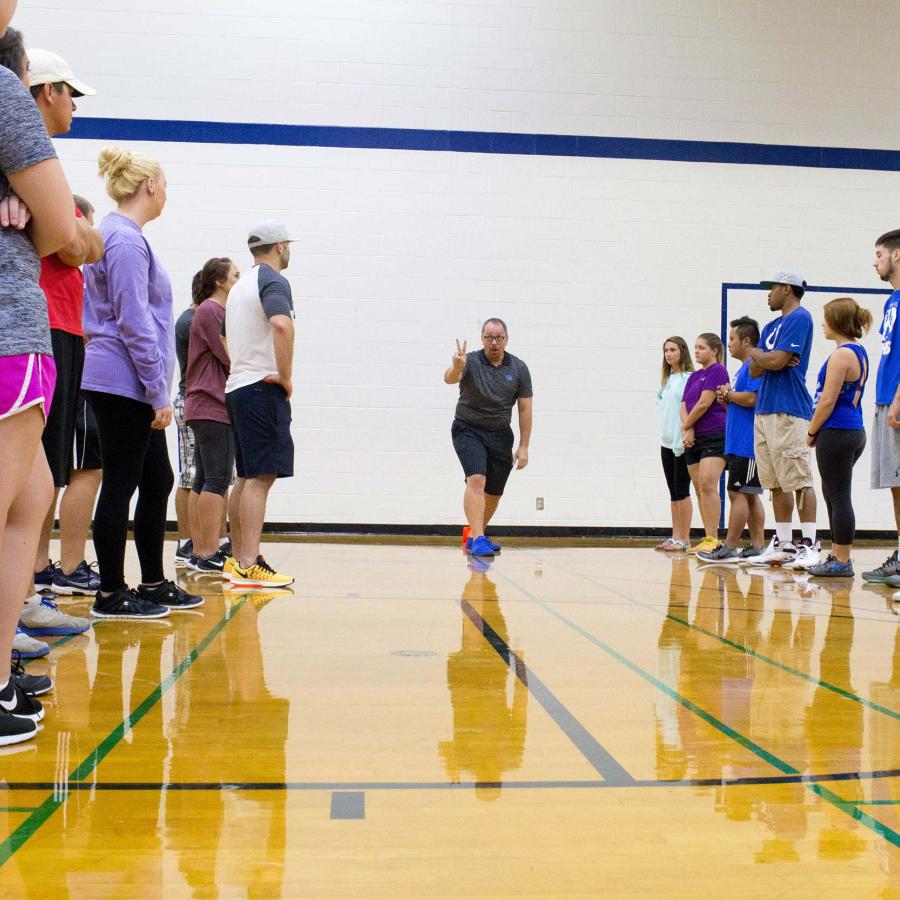 Doctorate Degree (Ph.D.) in Education Sciences - Physical Education Option